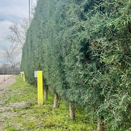 Matka Eco Rv Camp Campervan & Motorhome Parking In Nature Kemp Skopje