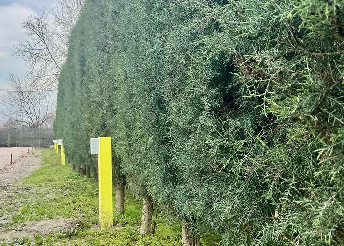 Matka Eco Rv Camp Campervan & Motorhome Parking In Nature Campsite Skopje